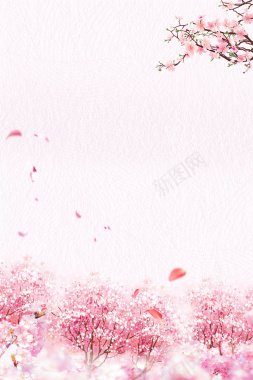 粉色浪漫花朵七夕情人节海报背景psd背景