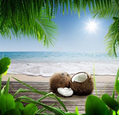 清新海滩椰子树下的椰子摄影图片