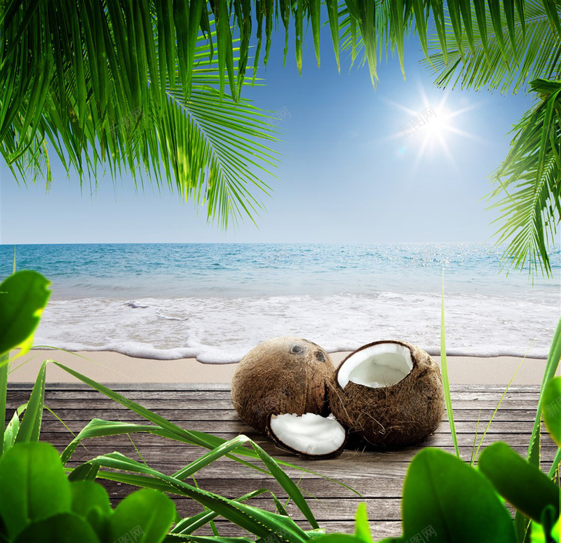清新海滩椰子树下的椰子psd_新图网 https://ixintu.com 休闲度假 摄影 新鲜 新鲜椰子 椰子果 椰子树 水果 海滩 海边 蓝天白云 风景