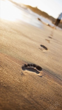 海滩上的脚印手机壁纸摄影图片