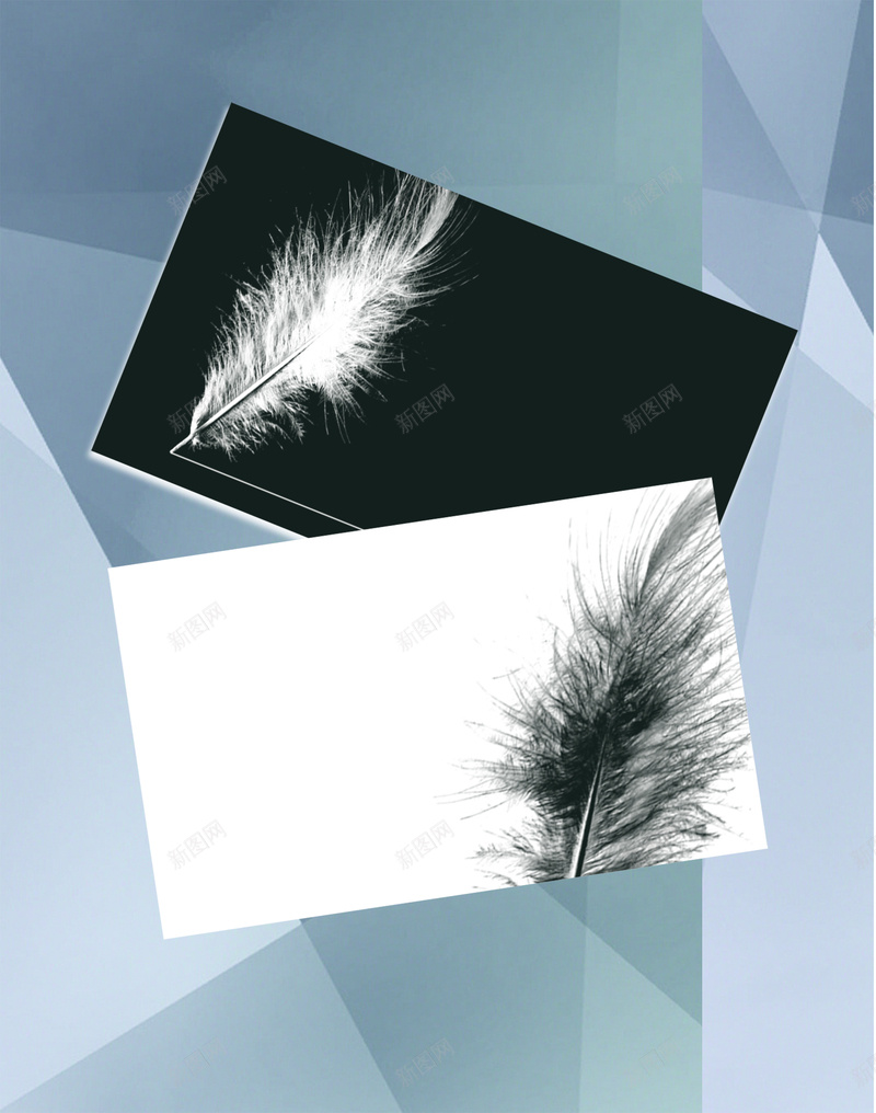 黑白羽毛信纸背景psd设计背景_新图网 https://ixintu.com 信纸 信纸素材 信纸背景 科技 简约 素材 羽毛 背景 黑白 黑白信纸 黑白素材 黑白背景