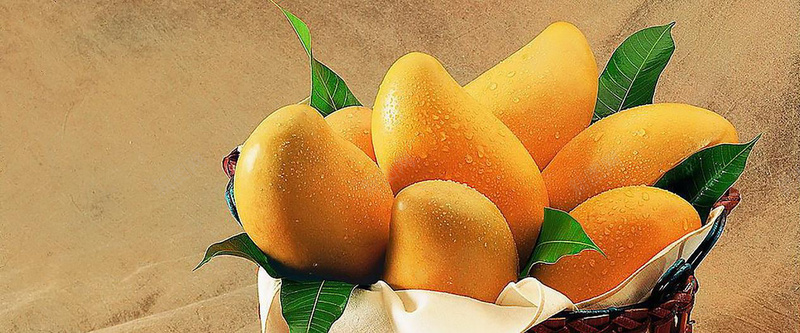美食芒果水果背景摄影图片