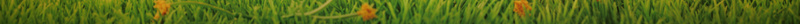 欢乐六一海报背景psd设计背景_新图网 https://ixintu.com 儿童节 六一儿童节 复活节 小熊 彩笔 星星 欢乐六一 欢乐六一模板下载 油菜 画笔 绘彩蛋 草地