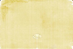 复古纸张和鲜花图片复古背景高清图片