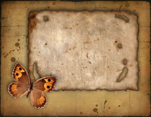 纸张与蝴蝶背景