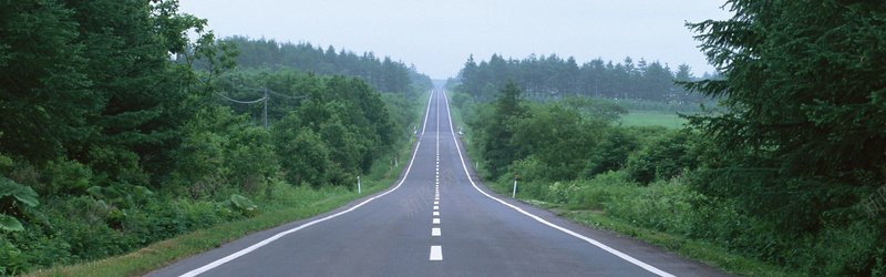 森林道路背景摄影图片