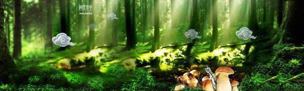 神秘森林里的蘑菇jpg设计背景_新图网 https://ixintu.com 森林 神秘 蘑菇