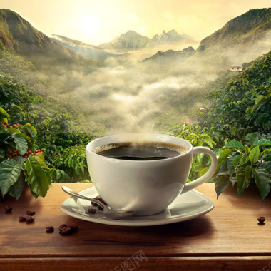 清新自然咖啡主图背景摄影图片