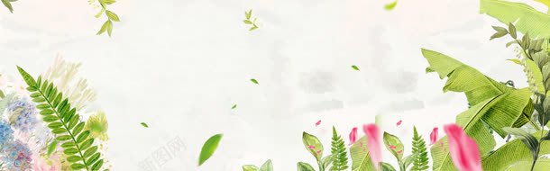 淘宝女装banner创意jpg设计背景_新图网 https://ixintu.com 树叶 淘宝 芭蕉树 花瓣