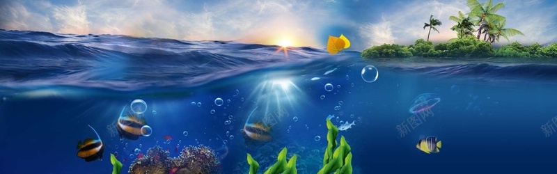 海洋背景psd_新图网 https://ixintu.com 化妆品 摄影 水草 海底 海底世界 海报banner 海洋 风景 鱼群