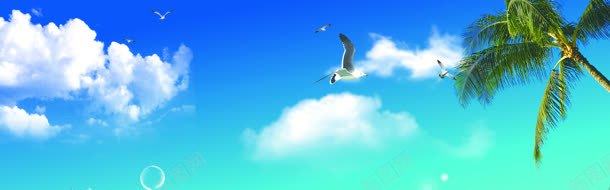 蓝天海鸥椰树背景图背景