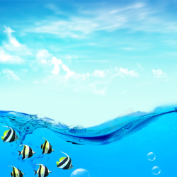 洗面奶主图蓝色大海热带鱼化妆品PSD分层主图背景高清图片