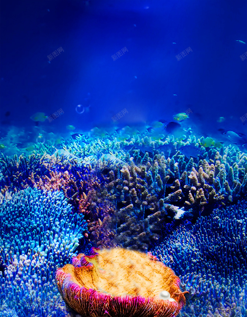 蓝色海洋珊瑚海底微生物商务广告背景psd设计背景_新图网 https://ixintu.com 商务 广告 微生物 海底 海洋 珊瑚 素材 背景 蓝色