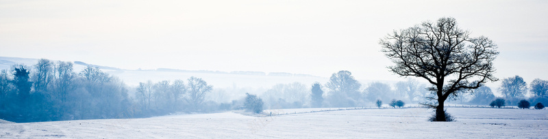 冬天雪景banner创意jpg设计背景_新图网 https://ixintu.com 其他 冬天雪景banner创意设计免费下载积雪 天空 山峰 树木 海报banner 积雪 路