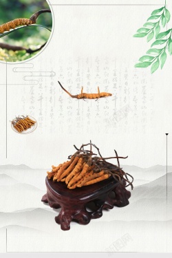 名贵食材冬虫夏草中国文化高清图片