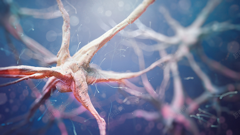 医疗神经元神经组织背景jpg设计背景_新图网 https://ixintu.com 健康 医疗 抽象 海报 神经 神经元 神经组织 素材 背景