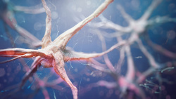 神经组织医疗神经元神经组织背景高清图片
