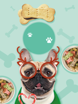 海宠物可爱宠物店食物海报背景高清图片