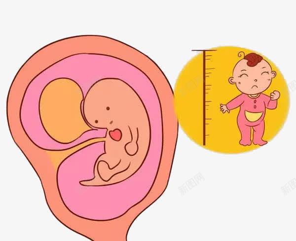 胎儿发育预测卡通png免抠素材_新图网 https://ixintu.com 卡通 妈妈 宝宝 怀孕 胎儿