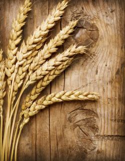 小麦木板图片小麦与木板背景高清图片