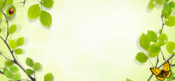 简单的昆虫图片边框树叶创意简约绿色banner背景高清图片