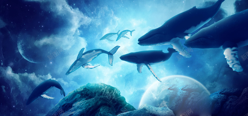 天空中的海豚jpg设计背景_新图网 https://ixintu.com 卡通 手绘 海报banner 海洋 海豚 童趣 蓝色