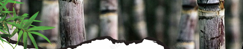 甘蔗中国古典风水果店促销海报psd设计背景_新图网 https://ixintu.com 中国风 叶子 水果 水果店 甘蔗 甘蔗促销 甘蔗汁 甘蔗海报 竹蔗 美味 美味甘蔗 美食 超市促销