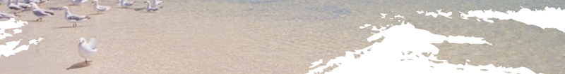 创意简约澳洲旅游海报背景psd设计背景_新图网 https://ixintu.com 2017 展架 旅游 易拉宝 海报 海边 淘宝促销海报 澳大利亚 澳洲 石阵 经典 蓝色 西澳 飞机