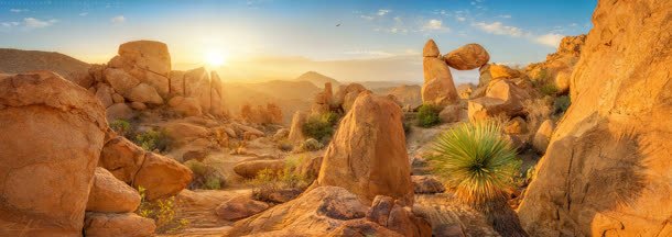 金色沙漠干枯岩石jpg设计背景_新图网 https://ixintu.com 岩石 干枯 沙漠 金色