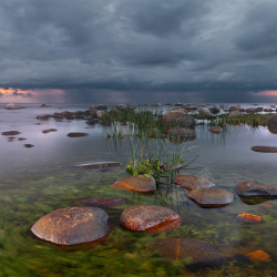 沼泽石头水草圆石水中的圆石高清图片