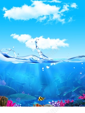 卡通海豚海洋世界背景