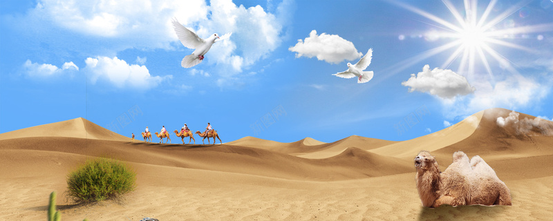 沙漠banner背景摄影图片