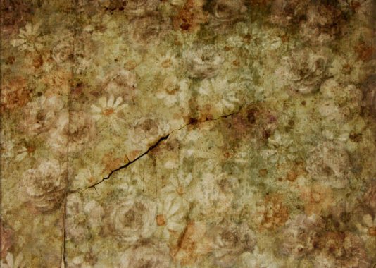 裂缝的花卉壁纸背景背景