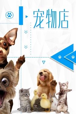猫咪脚印萌宠宠物店促销海报高清图片