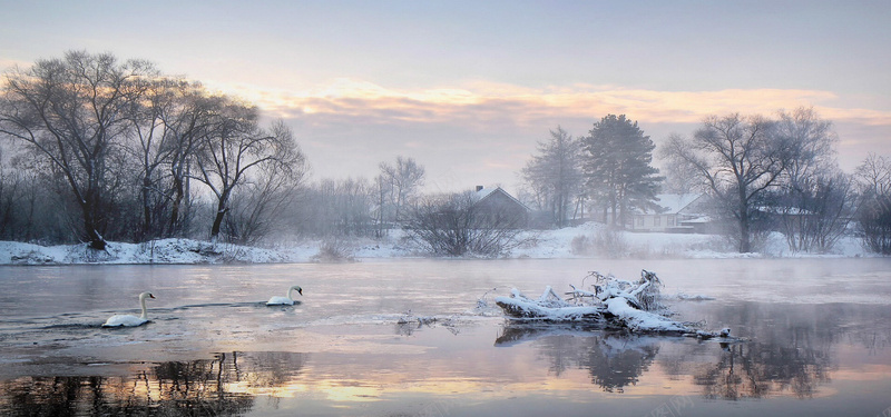 树鸟笼自然冬季湖泊背景摄影图片