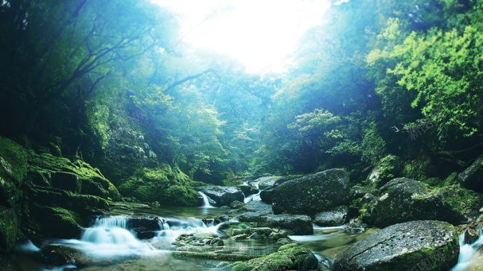 绿色森林自然溪水背景摄影图片