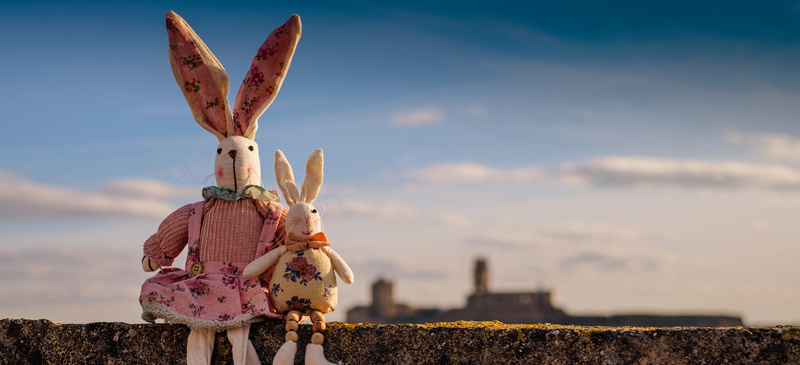 治愈布偶娃娃摄影阳台上的两只兔子摄影图片
