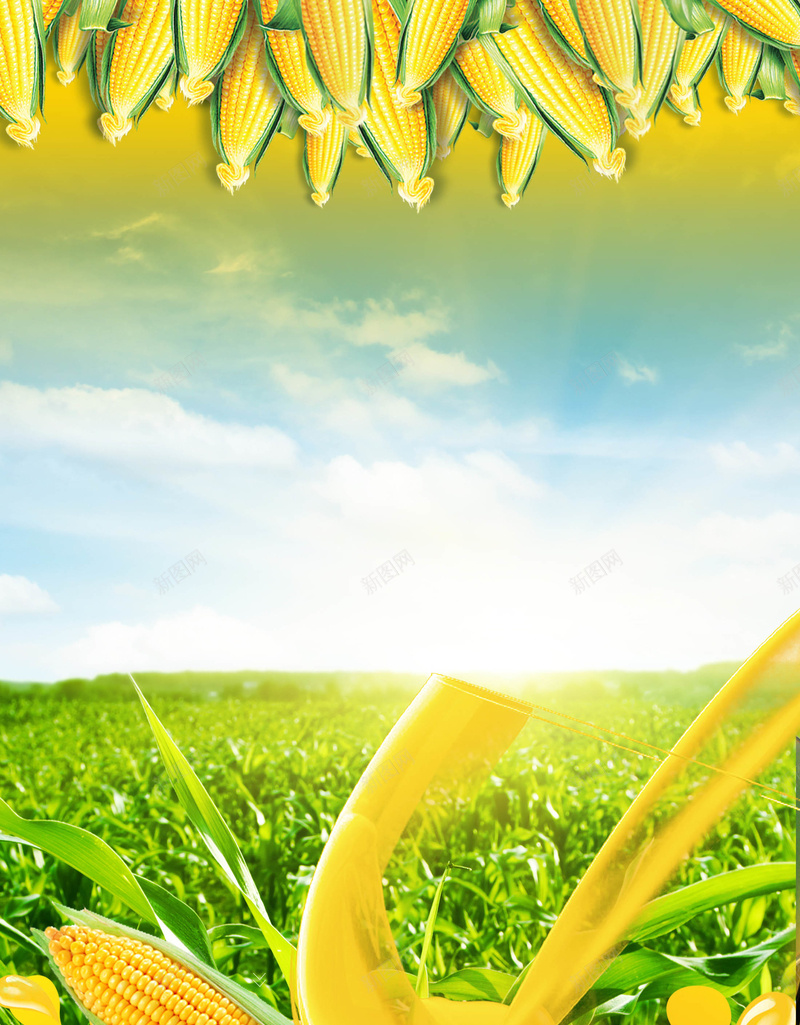 玉米农作物背景psd设计背景_新图网 https://ixintu.com PPT PSD 免费 农作物 广告 海报 玉米 素材 背景 黄色