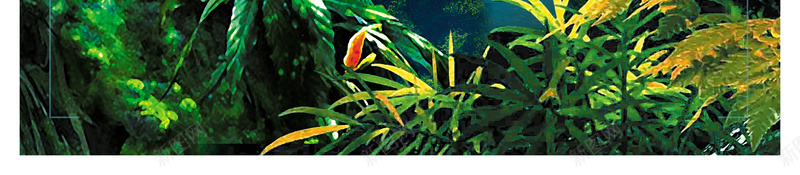 热带雨林海报背景psd设计背景_新图网 https://ixintu.com 刺激 娱乐 宣传 海报 游乐园 热带 背景 雨林