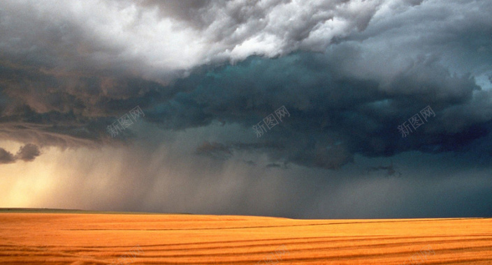 稻田雨天雷雨乌云气势摄影图片