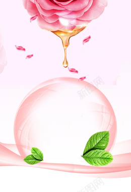 粉色玫瑰花精油海报背景背景