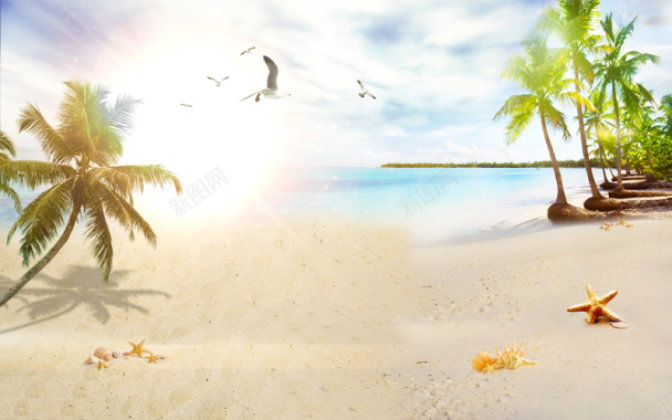 阳光海滩沙滩风景树木夏日背景背景