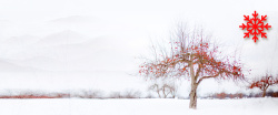 小雪松大雪雪松小清新景色banner高清图片