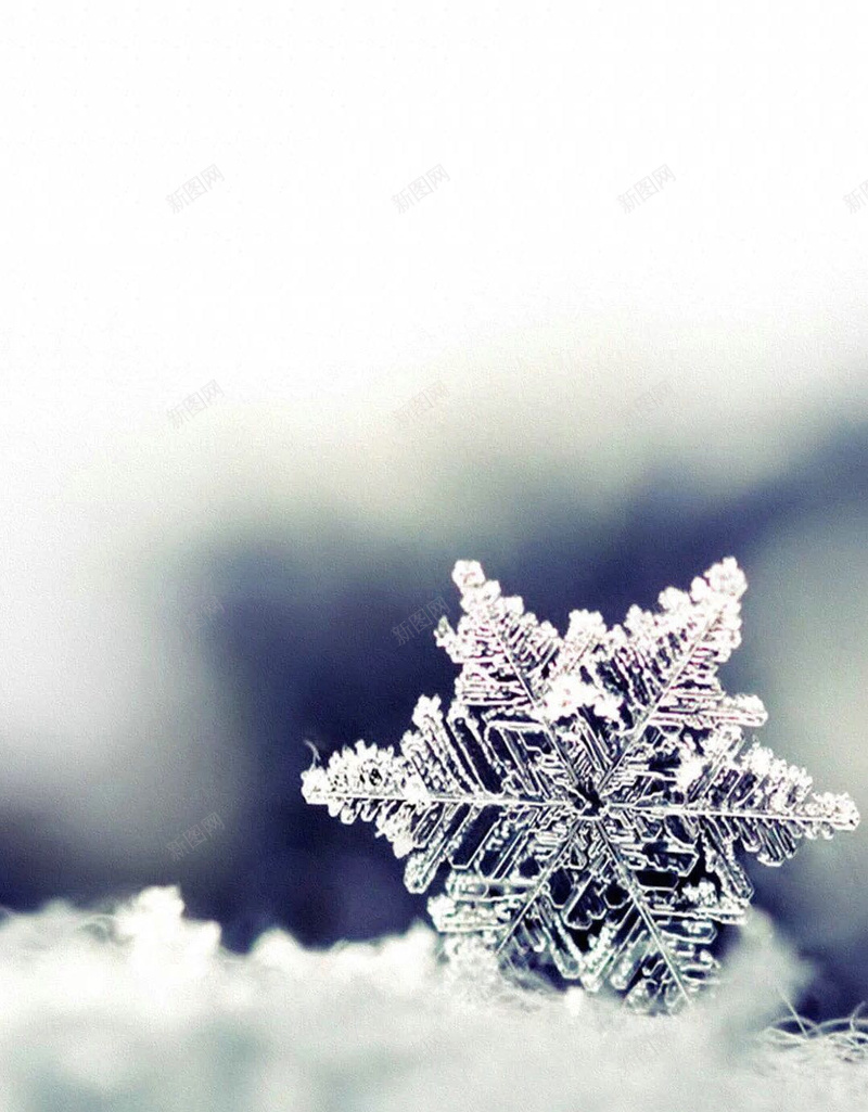 雪花雪结晶背景jpg_新图网 https://ixintu.com 大雪 摄影 积雪 背景 雪结晶 雪花 风景