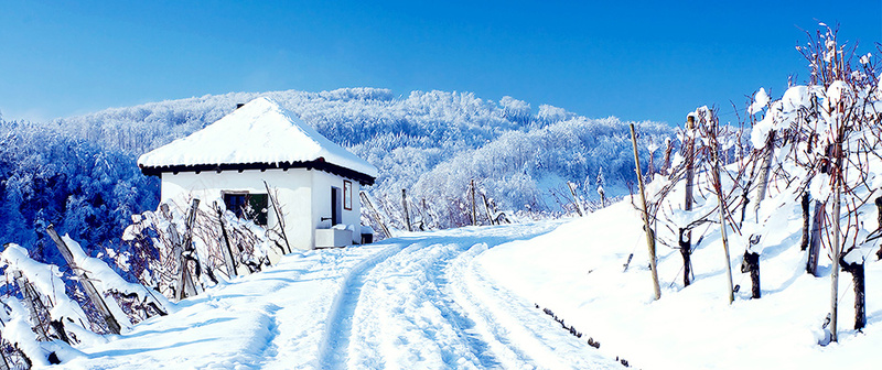 唯美雪景jpg_新图网 https://ixintu.com 下雪 冬天 房子 房屋 摄影 详情页海报 道路 雪景 风景
