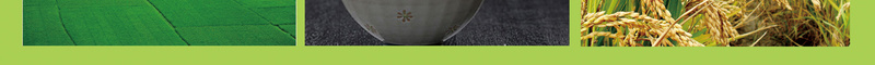 大米海报背景psd设计背景_新图网 https://ixintu.com 一碗饭 大米 海报 稻田 稻谷 米粒 米饭 绿色 背景素材
