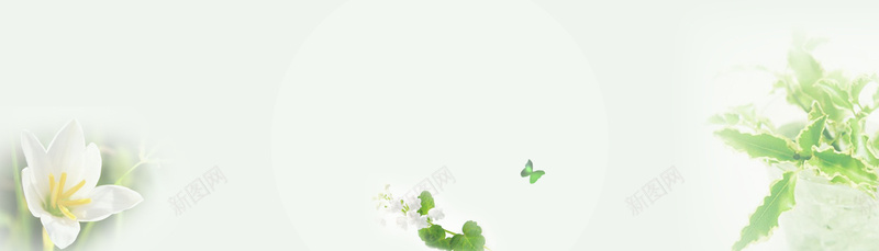 夏日百合psd_新图网 https://ixintu.com 夏天 摄影 海报banner 百合 绿色 风景