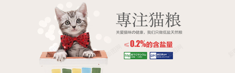 猫粮背景图jpg设计背景_新图网 https://ixintu.com 促销 宠物 海报banner 猫粮