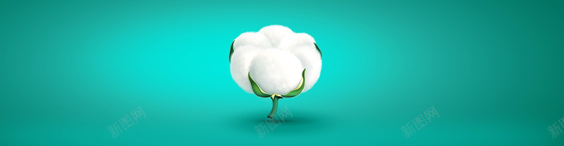 简约jpg设计背景_新图网 https://ixintu.com 棉花 海报banner 纹理 绿色 质感