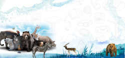 蓝色斑马创意世界动物日蓝色水彩banner高清图片